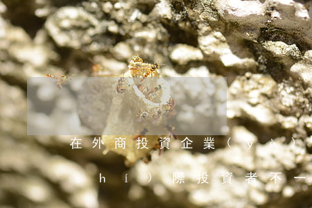 在外商投資企業(yè)中名義股東和實(shí)際投資者不一致的情況下如何保障權(quán)益？